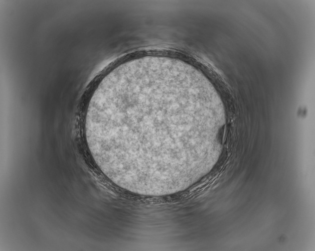 X0000096441208200802211202