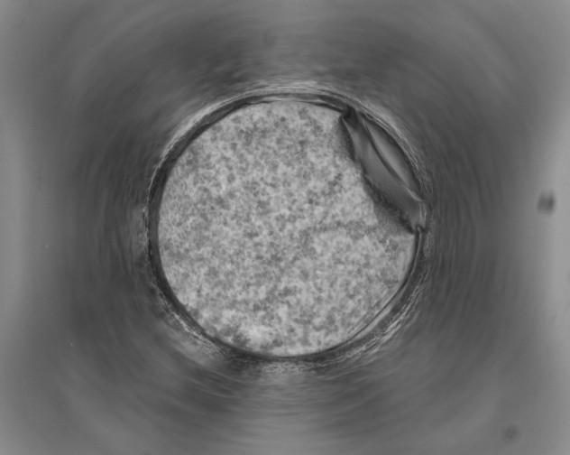 X0000096441212200802211202