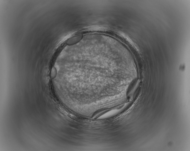 X0000096441213200802211202