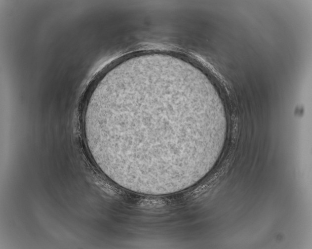 X0000096441215200802211202