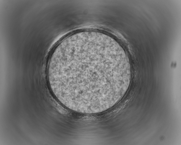 X0000096441216200802211202