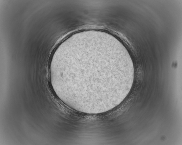 X0000096441220200802211202