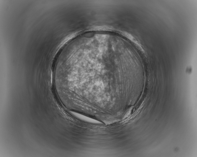 X0000096441221200802211202