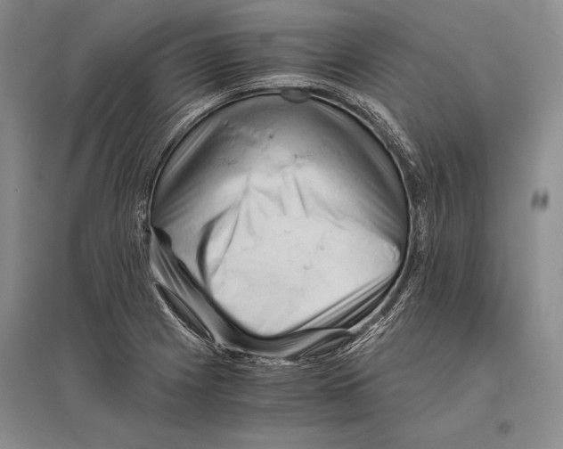 X0000096441225200802211202