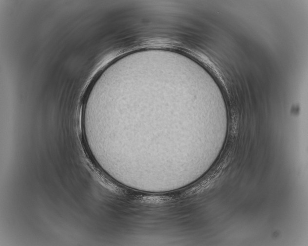 X0000096441227200802211202