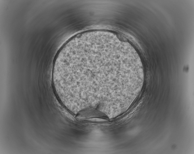 X0000096441228200802211202