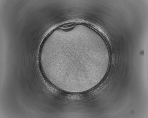 X0000096441229200802211202