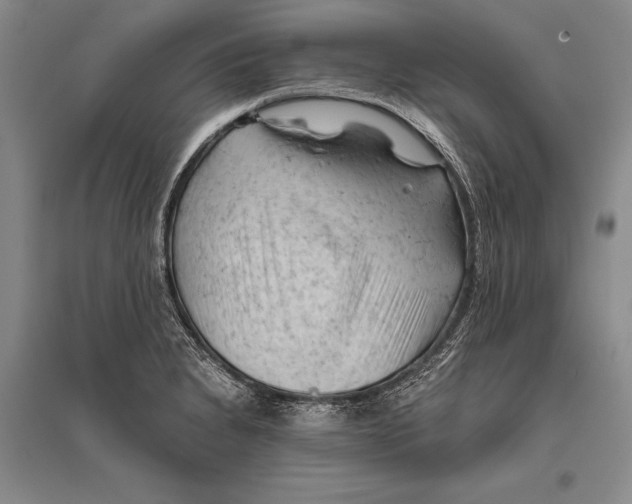 X0000096441230200802211202