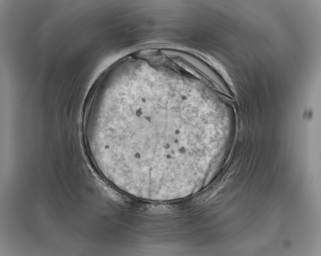 X0000096441231200802211202