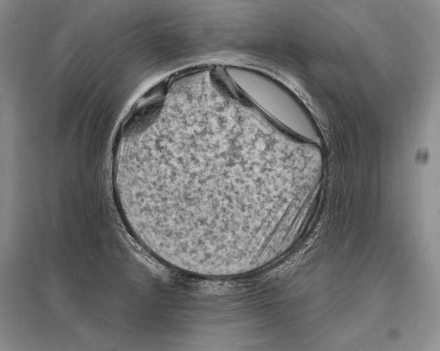 X0000096441232200802211202