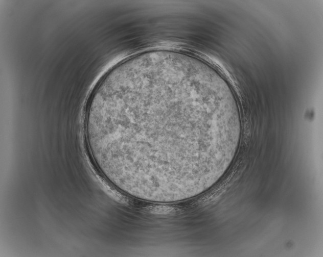 X0000096441235200802211203