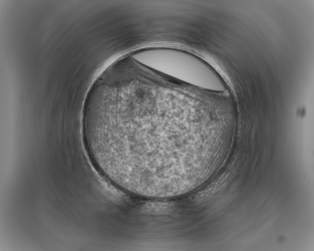 X0000096441237200802211203