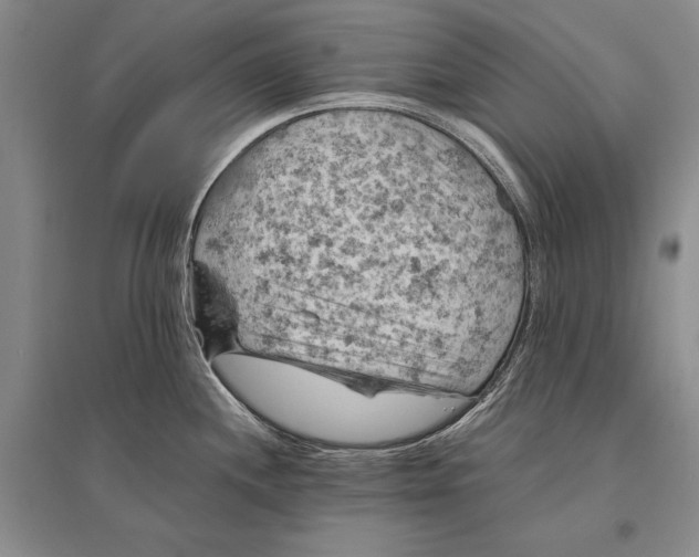 X0000096441244200802211203