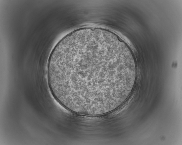 X0000096441247200802211203