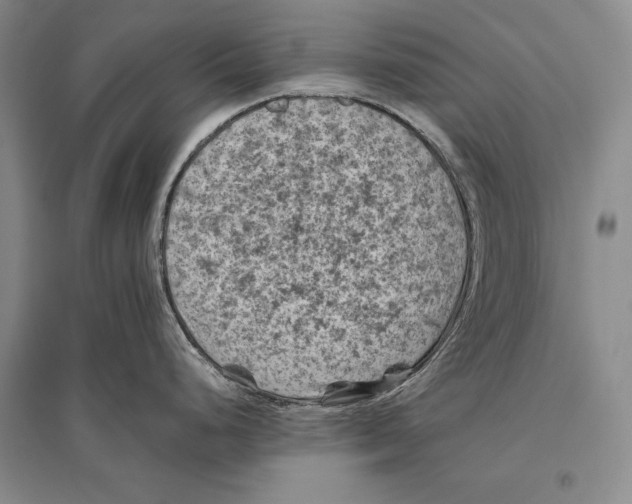 X0000096441248200802211203