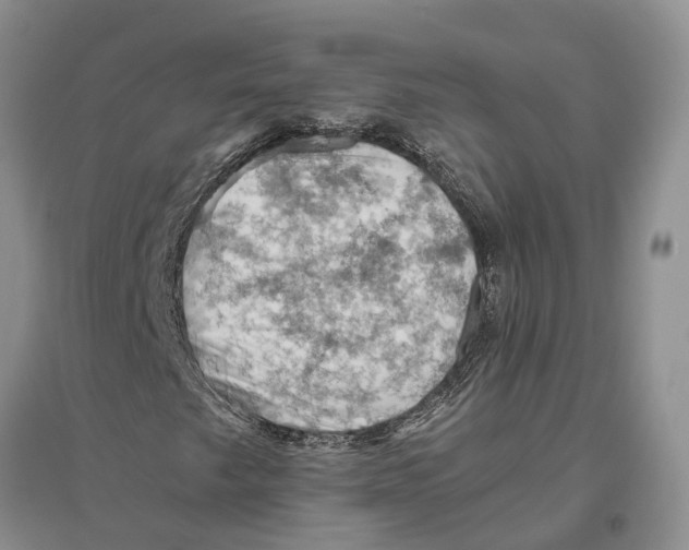 X0000096441249200802211202