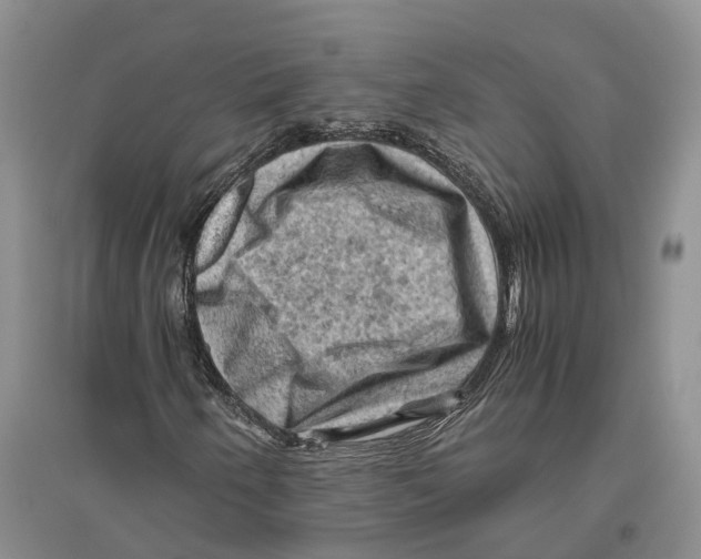 X0000096441250200802211202