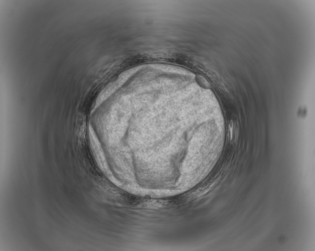 X0000096441251200802211202