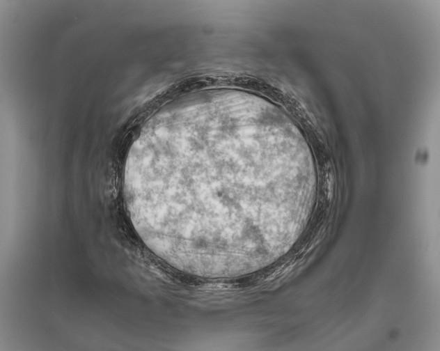 X0000096441253200802211202