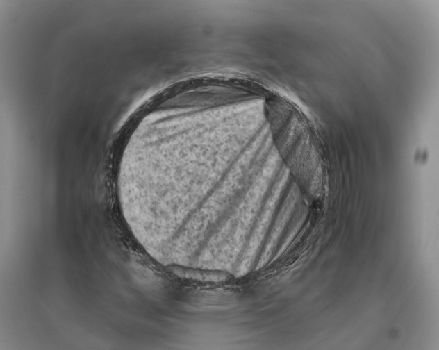 X0000096441256200802211202