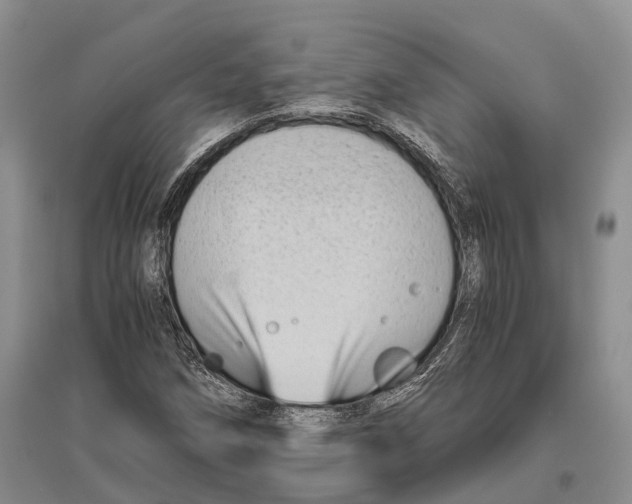 X0000096441258200802211202