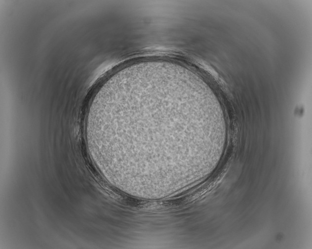 X0000096441259200802211202