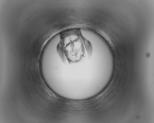 X0000096441260200802211202