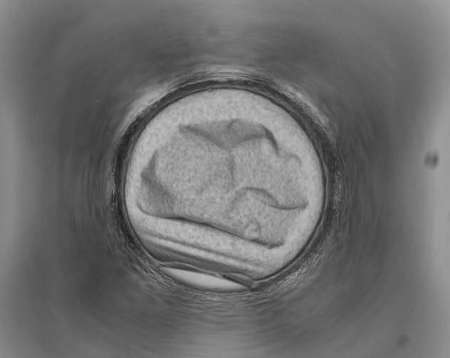 X0000096441261200802211202