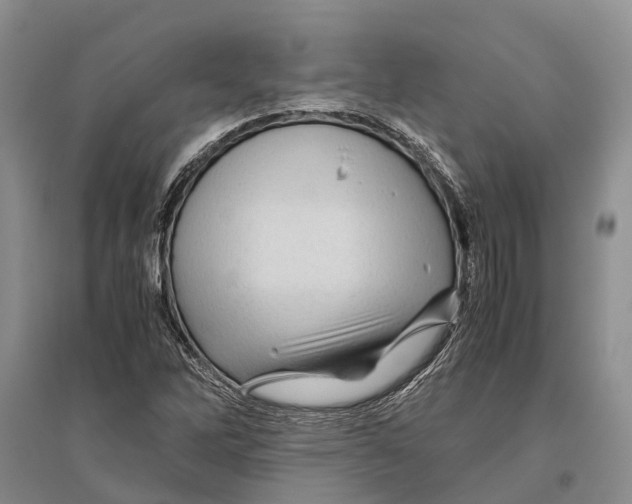 X0000096441262200802211202