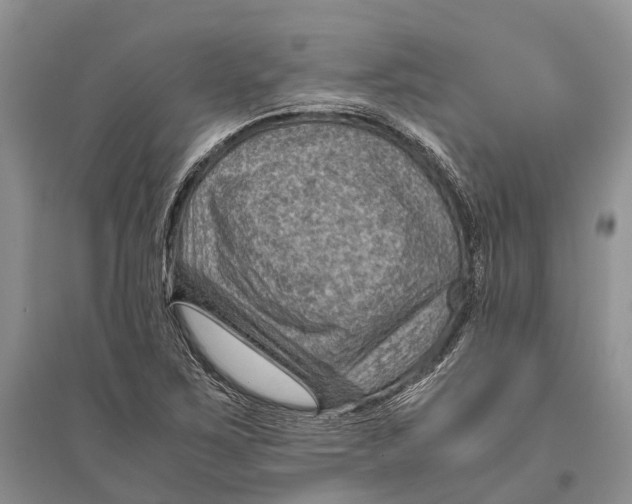 X0000096441267200802211202