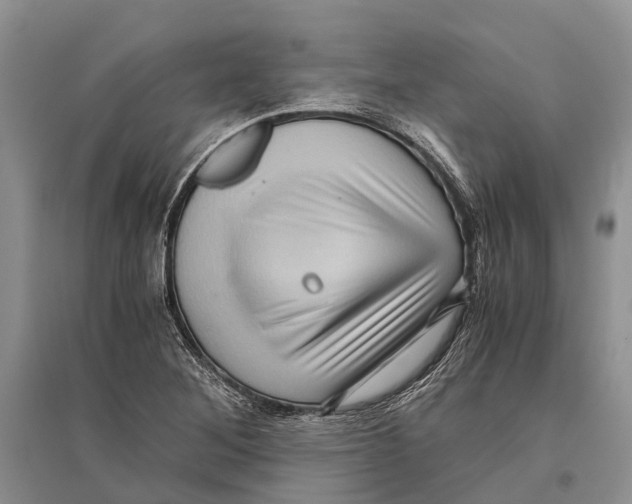 X0000096441268200802211202