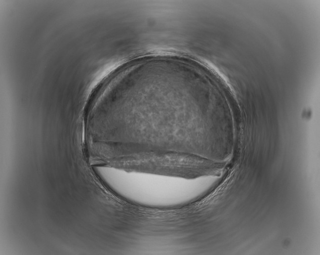 X0000096441269200802211202