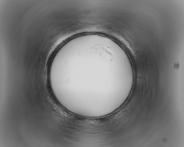 X0000096441270200802211202