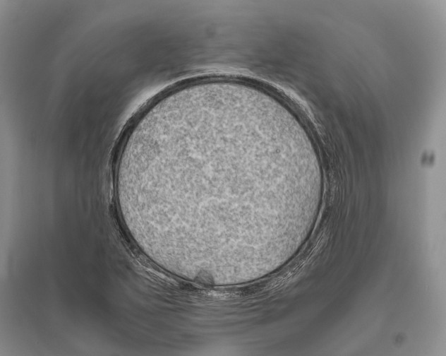 X0000096441271200802211202