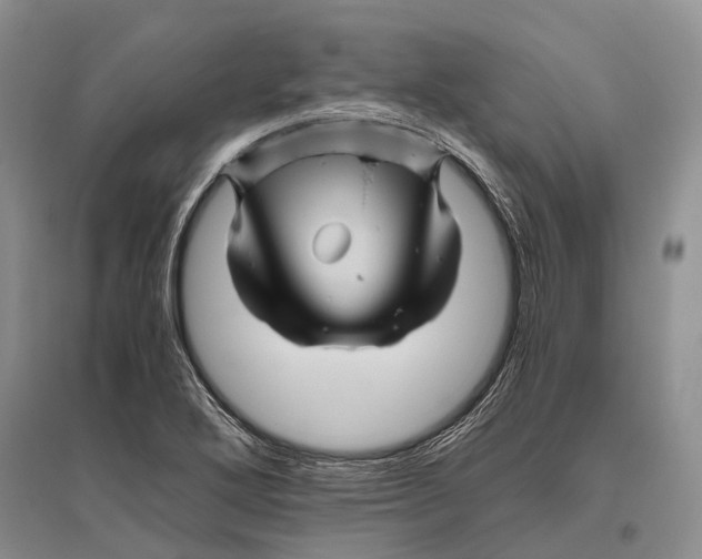 X0000096441272200802211202