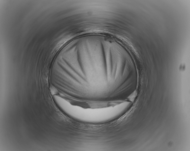 X0000096441273200802211202