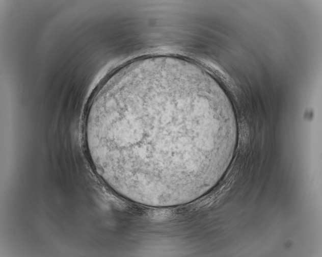 X0000096441278200802211202