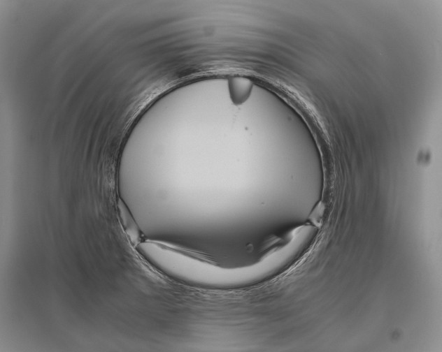 X0000096441281200802211202