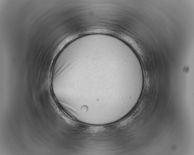 X0000096441282200802211201