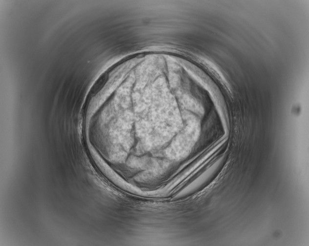 X0000096441284200802211201