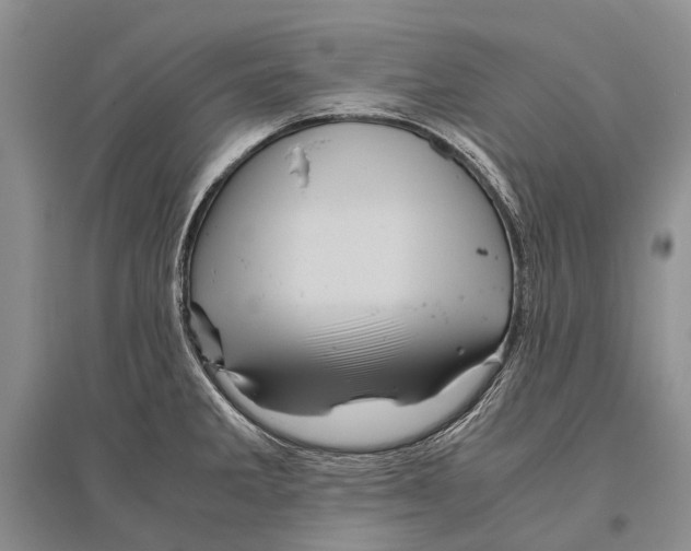 X0000096441285200802211201