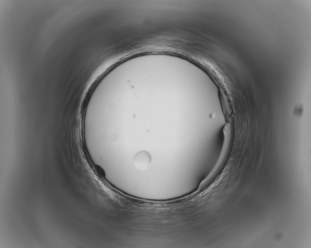 X0000096441286200802211201