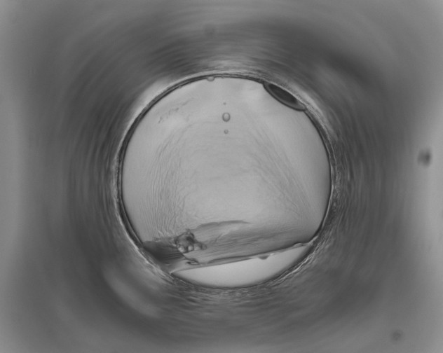 X0000096441291200802211201