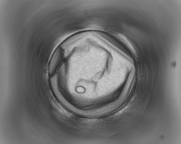 X0000096441292200802211201