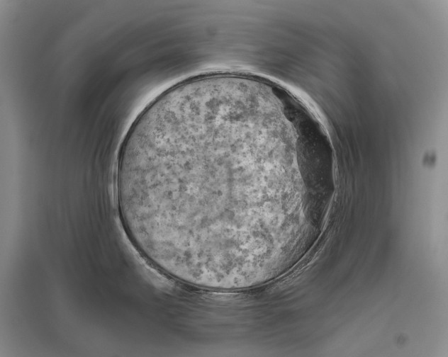 X0000096441295200802211201