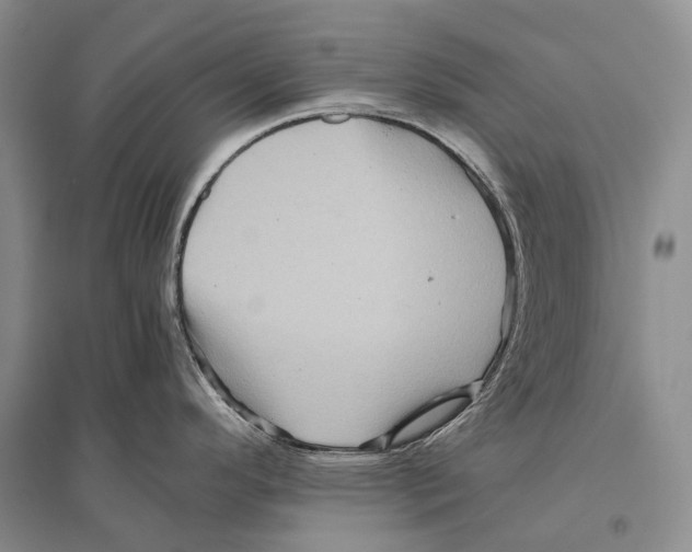 X0000096441296200802211201