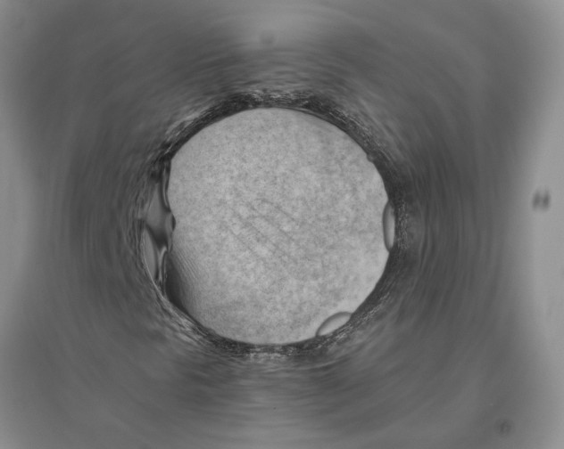 X0000096441297200802211201