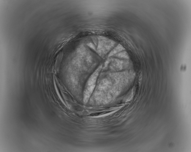 X0000096441298200802211201