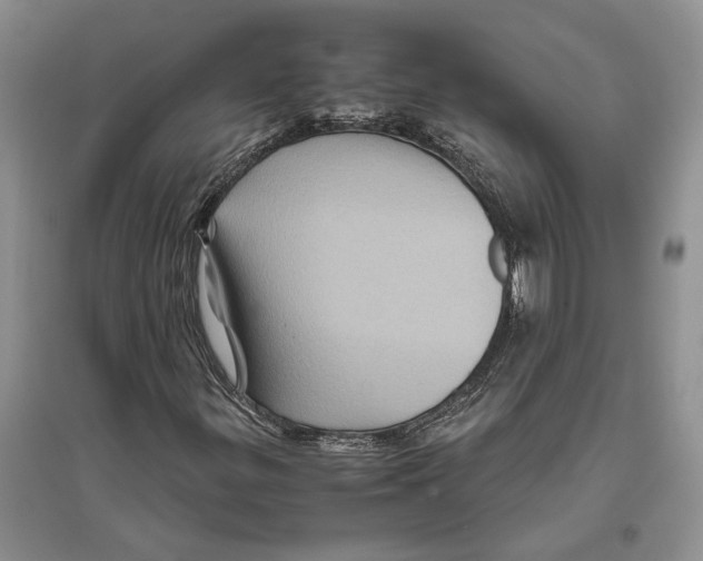 X0000096441299200802211201