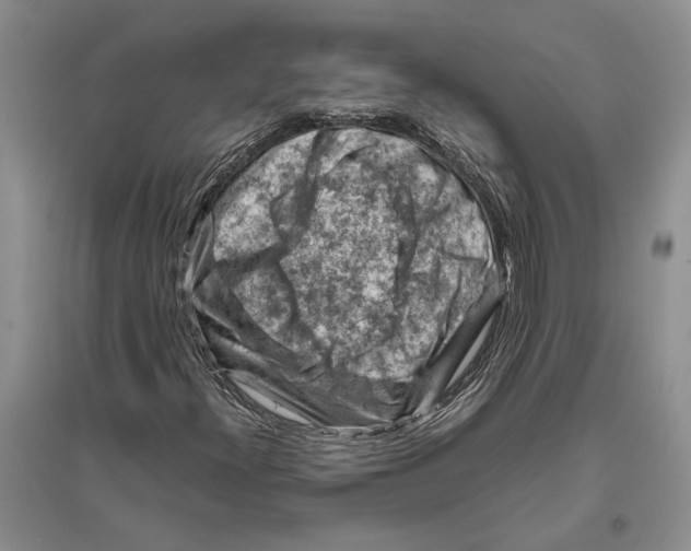 X0000096441300200802211201